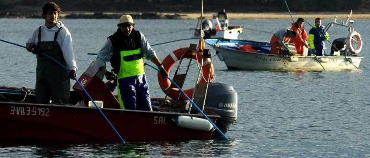 Embarcaciones en un banco de libre marisqueo en Arousa. // I. Abella