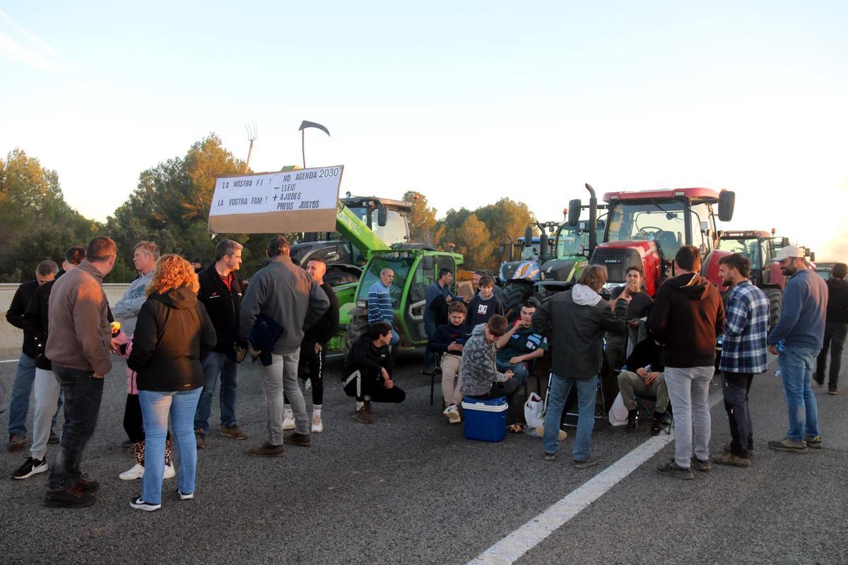 Pagesos a la calçada de l'autopista AP-7 aquest dimarts al capvespre