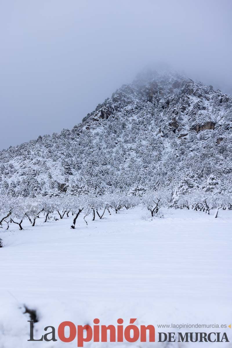 La comarca del Noroeste ofrece una estampa invernal