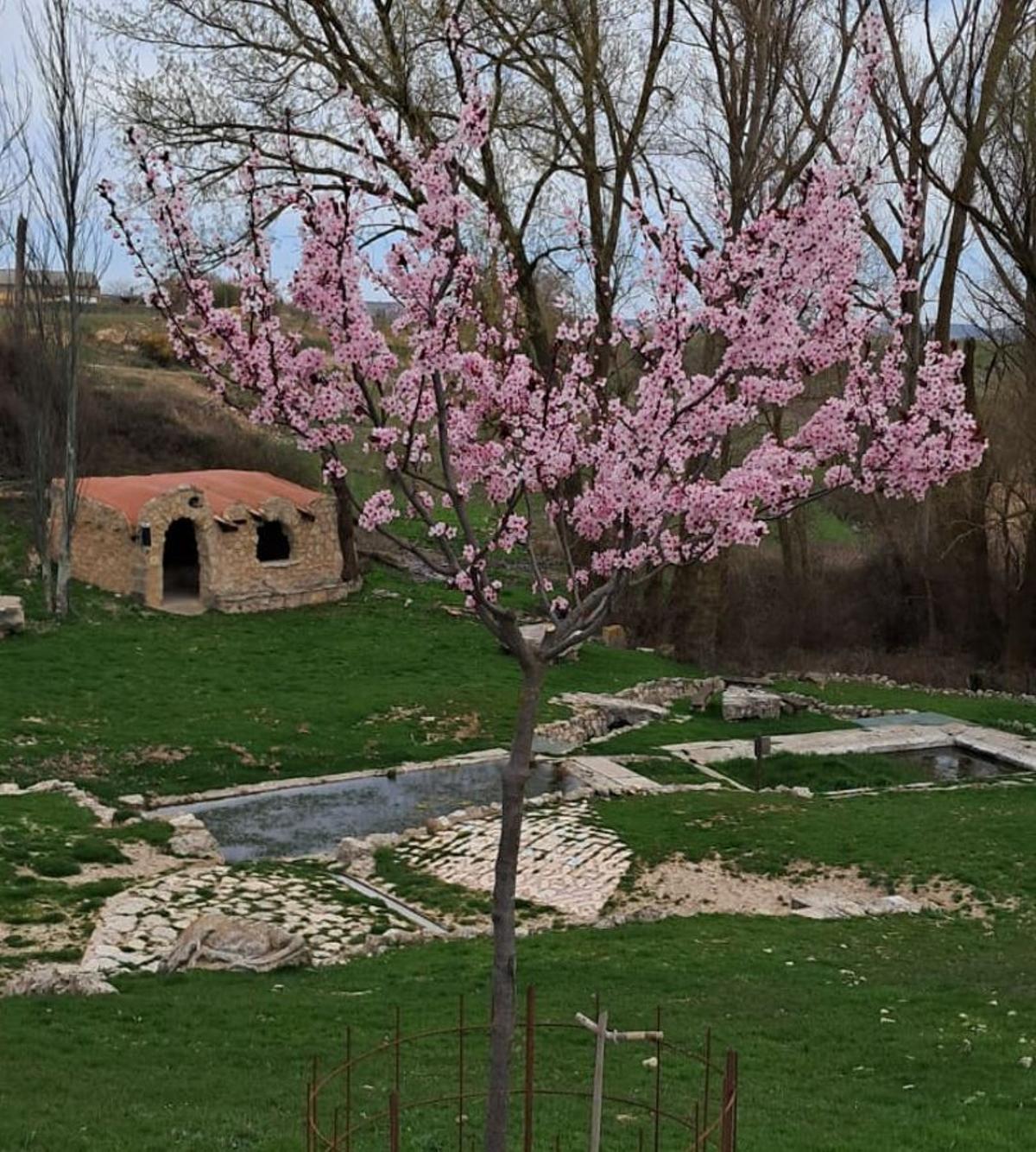 Antiguo lavadero donde se encuentra la biblioteca rural de Guzmán