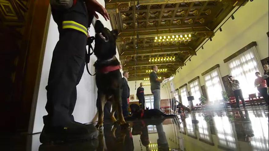 Presentación de la nueva Unidad Canina de Bomberos