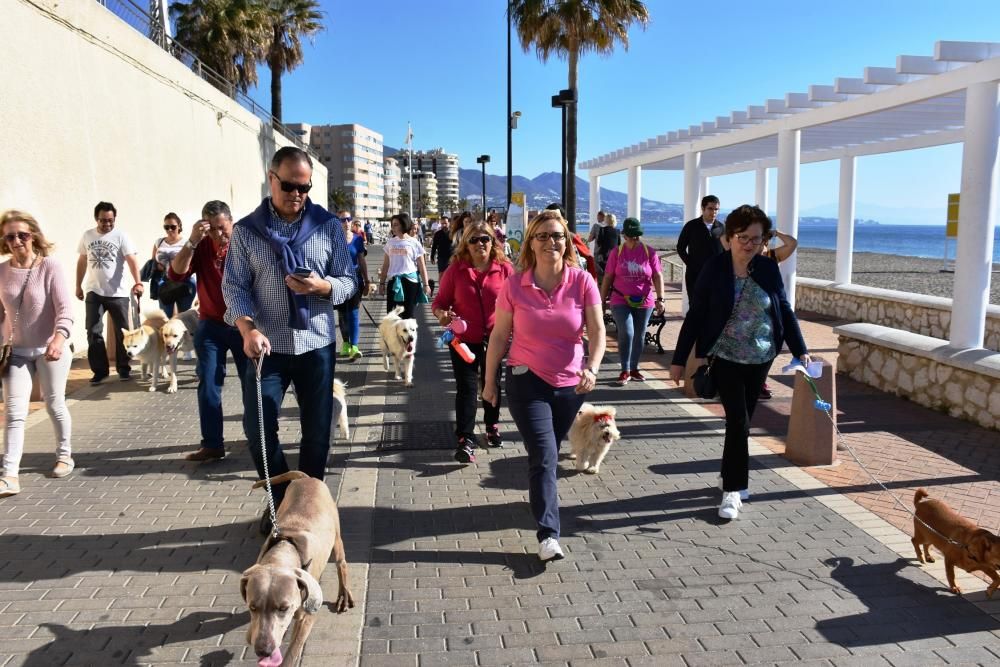 Decenas de personas se reunieron junto al Castillo Sohail para celebrar el Día del perro que se celebra desde hace siete años en Fuengirola.