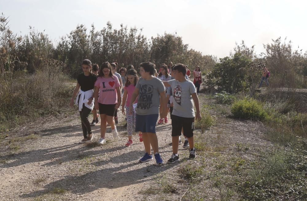 El Oceanogràfic suelta diez galápagos en la Albufera