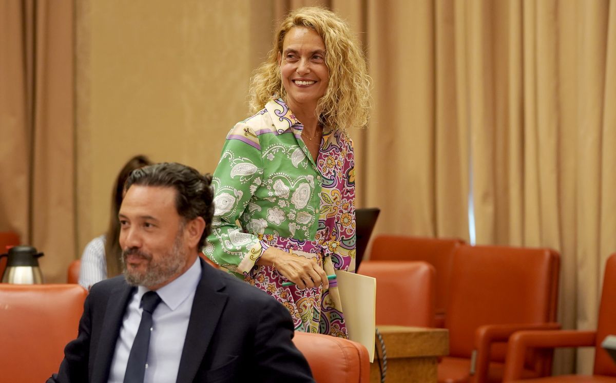 La presidenta del Congreso, Meritxell Batet, y el diputado del PP Guillermo Mariscal, en la Diputación Permanente.