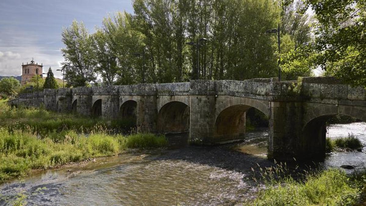 Arcos del puente sobre el río Pisuerga