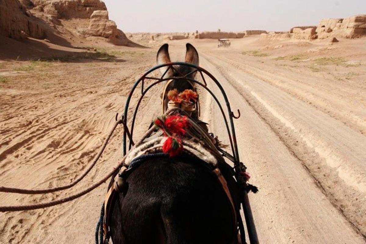 Camino que lleva a una antigua ciudad budista en los alrededores de Urumqi, China.