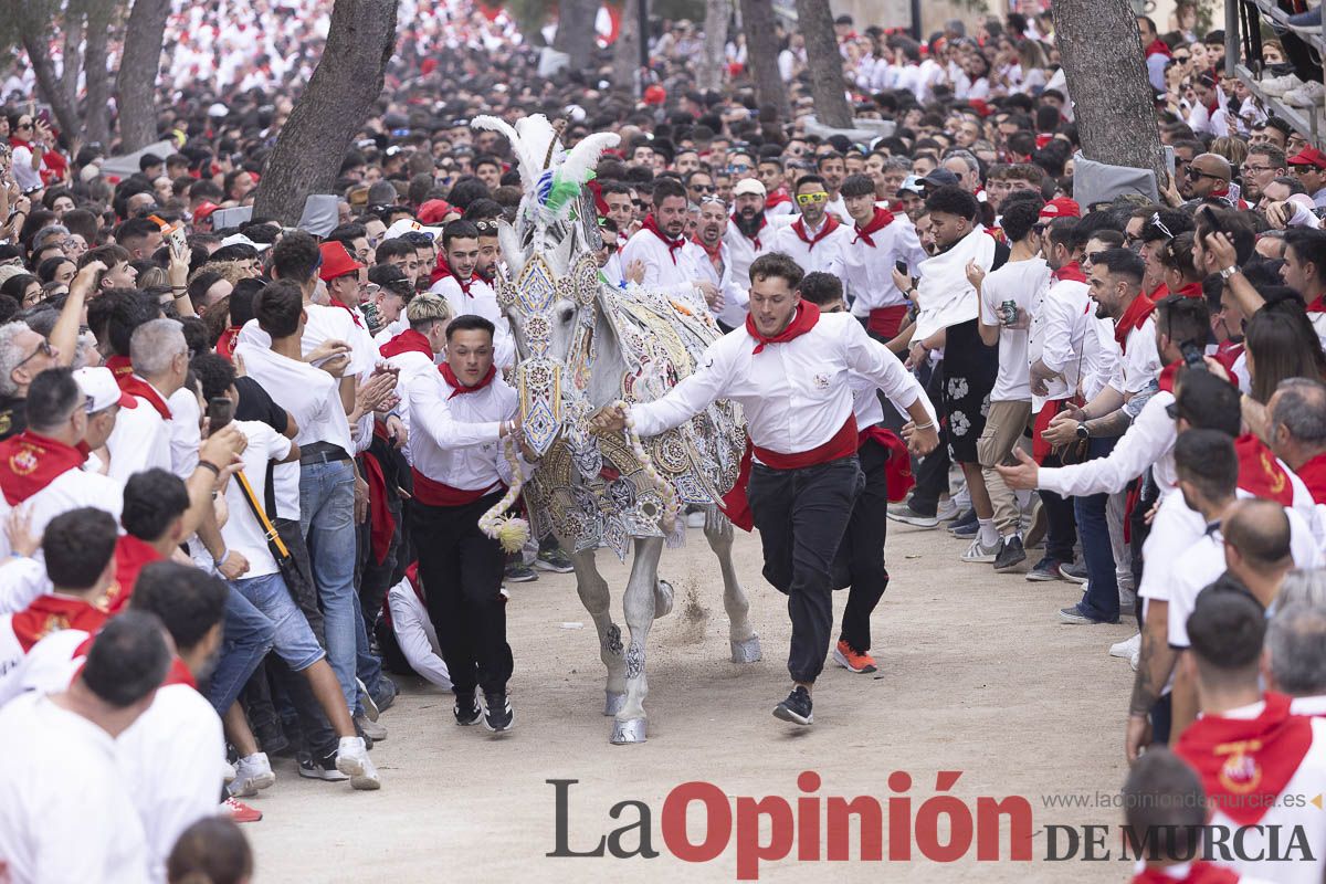 Así se ha vivido la carrera de Los Caballos del Vino en Caravaca