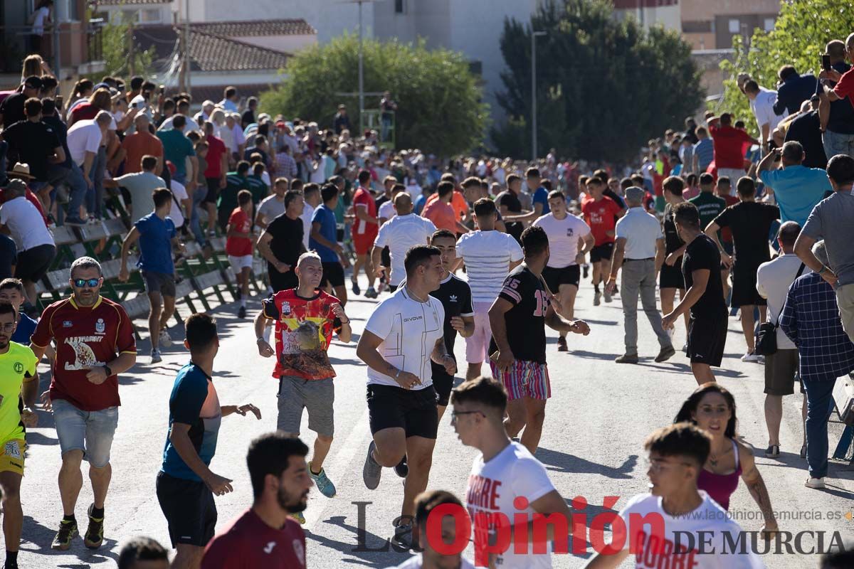 Tercer encierro Feria del Arroz en Calasparra