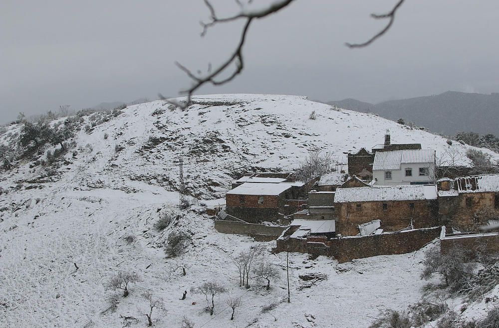 Las primeras nevadas llegan al Puerto del León, en los Montes de Málaga, que se sitúa a 900 metros de altura