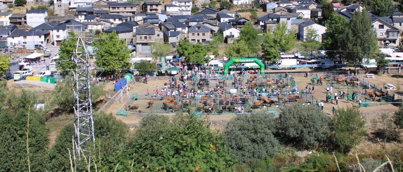 Vista de una torre de eléctrica con el pueblo de Porto al fondo