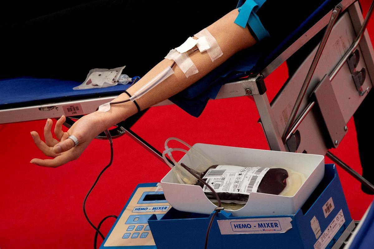 Els Estats Units proposen permetre la donació de sang a homosexuals i bisexuals