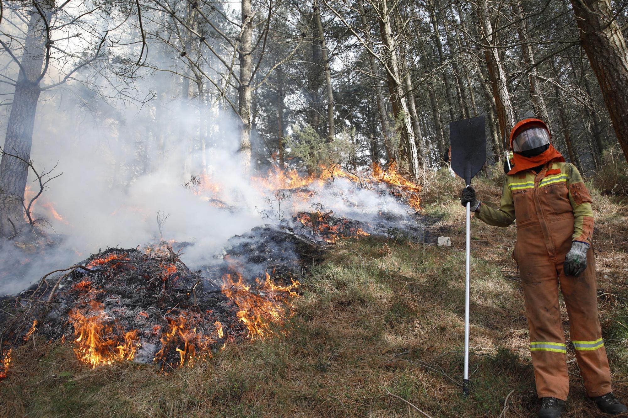 La lucha contra el fuego en el incendio entre Nava y Piloña