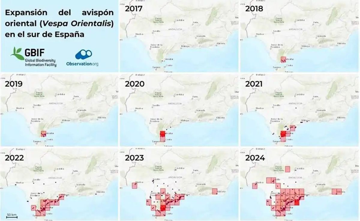 Mapa de la expansión de la avispa asiática