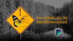 Crisis biodiversidad.