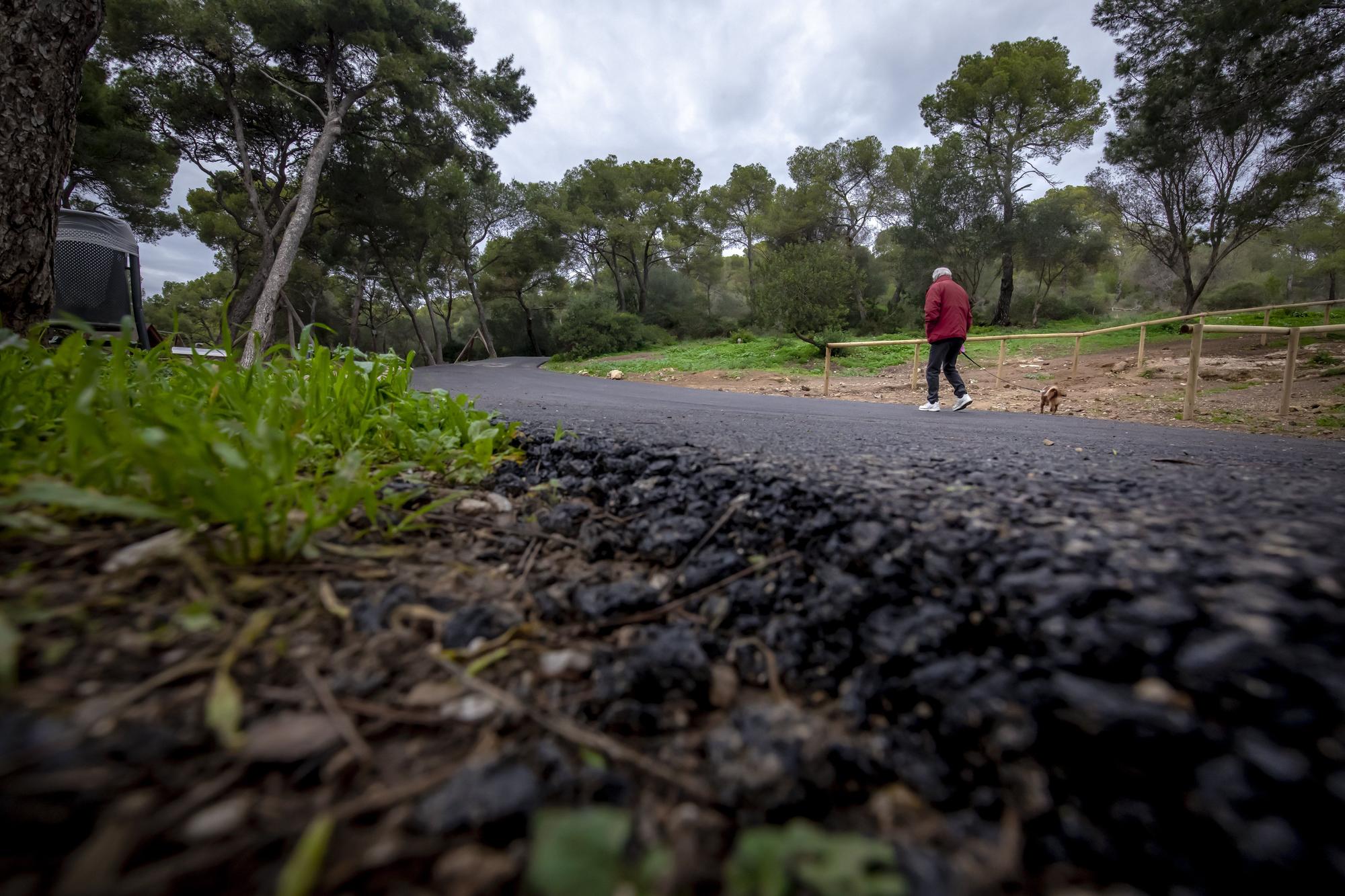 Las fotos del asfaltado del bosque de Bellver que indigna a ciudadanos y ecologistas