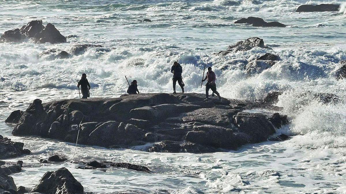 Percebeiros de Cangas trabajando en las rocas de Punta Couso, en los límites de la Costa da Vela.