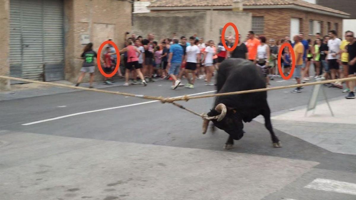 Santa Bàrbara suprime los toros infantiles por la presión de los animalistas