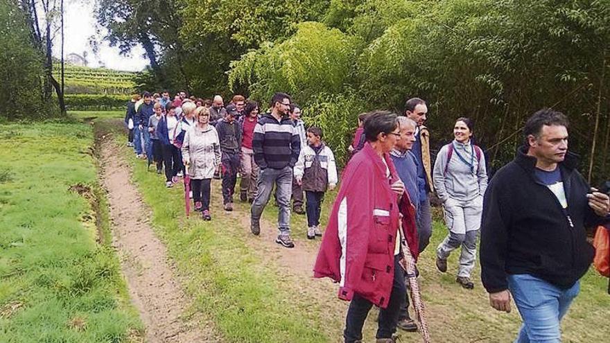 Senda fluvial del río Mendo en Salvaterra. // D.P.