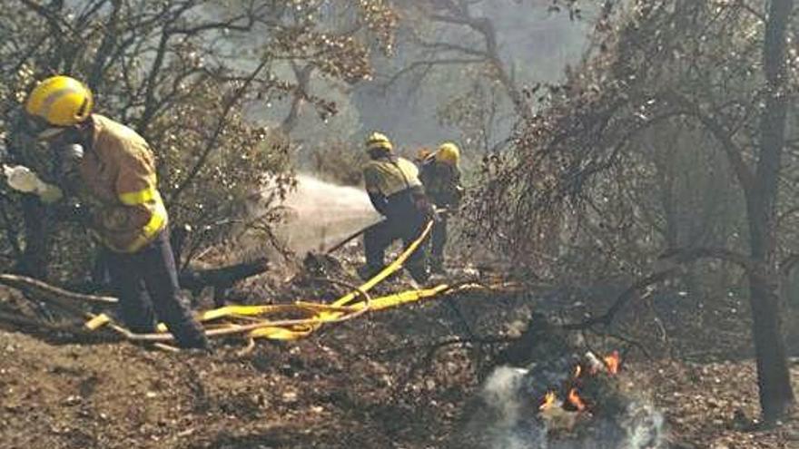 Efectius dels bombers treballant a la zona de l&#039;incendi