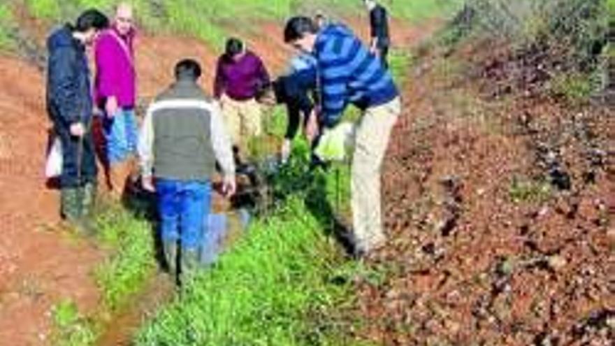 21 alumnos de Santa Ana plantan especies de ribera