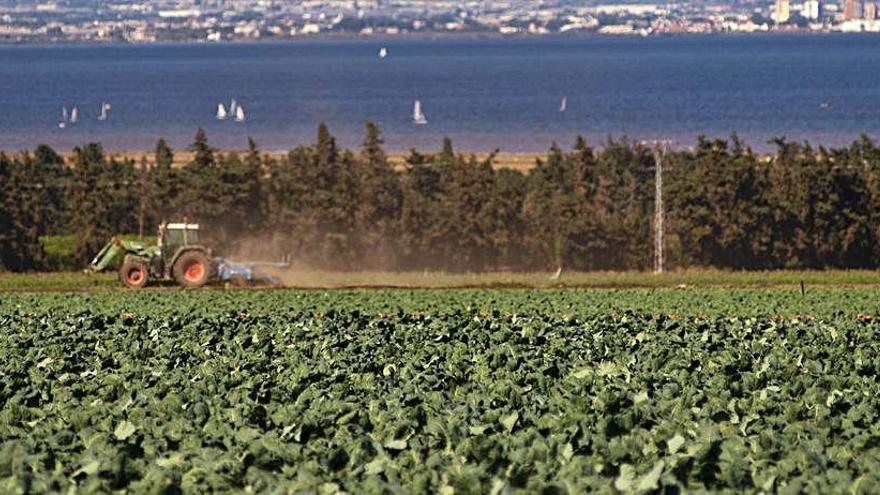 Entra en vigor la prohibición de fertilizantes entre los 500 y los 1.500 metros de la costa