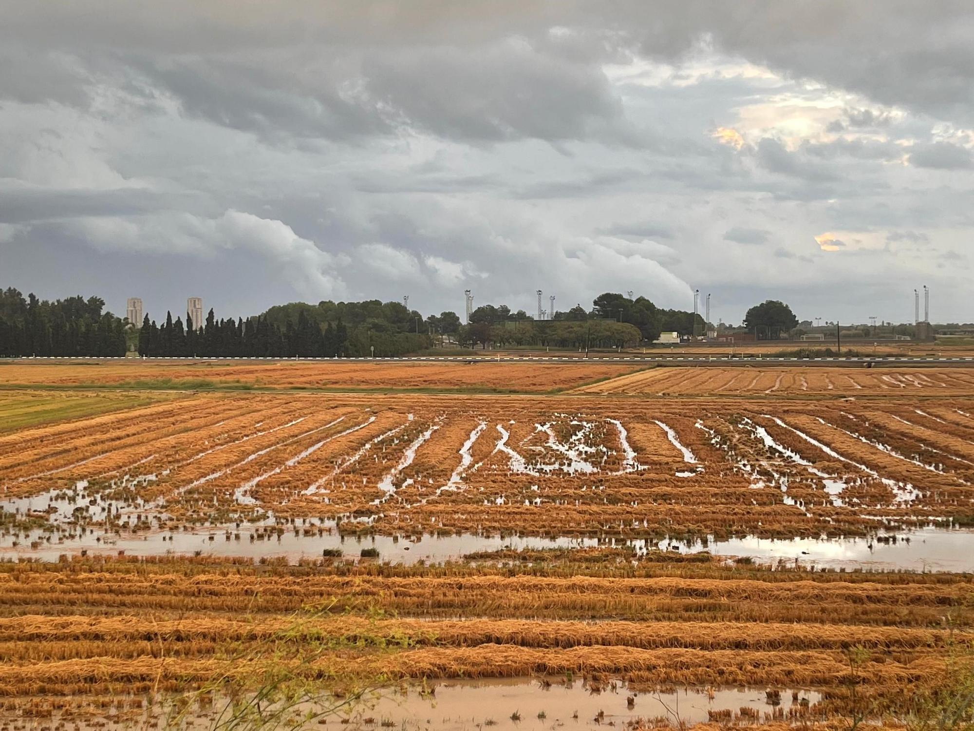 Campos de arroz, anegados por las lluvias, cuando por la poca del año correspondería que estuvieran secos