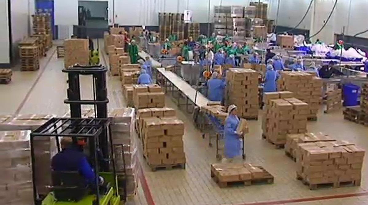 Els joves són els més afectats per la pèrdua de feina.