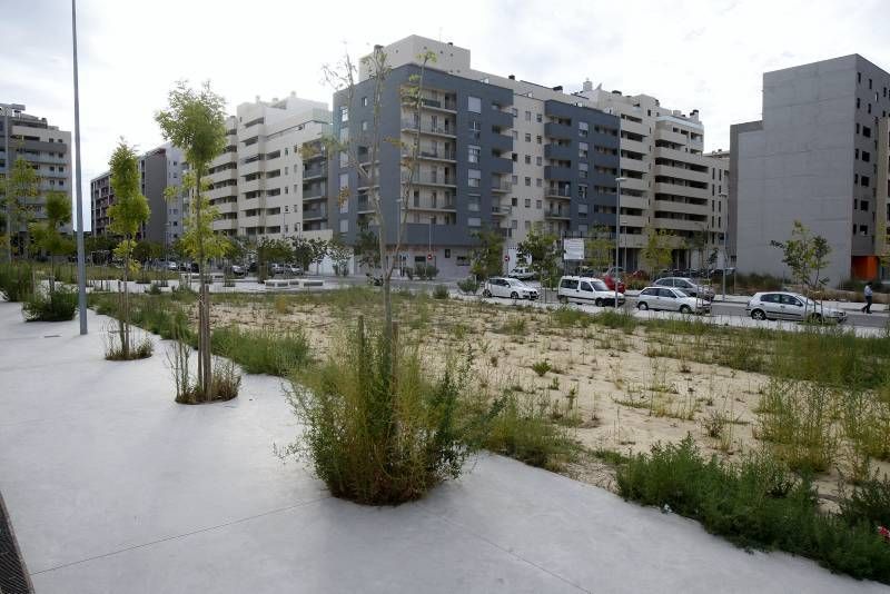 Fotogalería: Abandono de zonas verdes en Parque Venecia