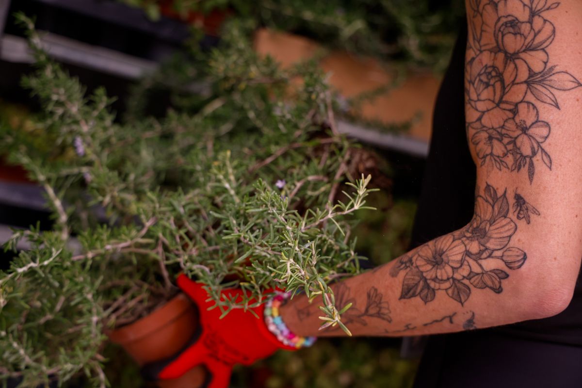 Comienza el montaje de las instalaciones de Flora 2025