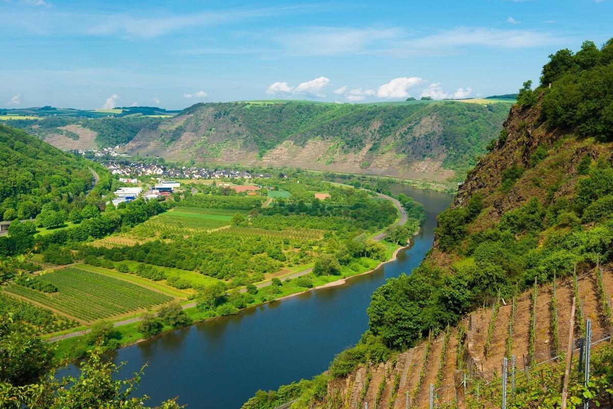 Los mejores lugares para vendimiar, Valle del Rin y del Mosela (Alemania)