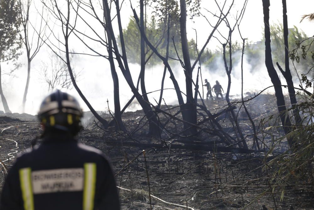 Sofocado un incendio que ha afectado a 100m2 en Puente Tocinos