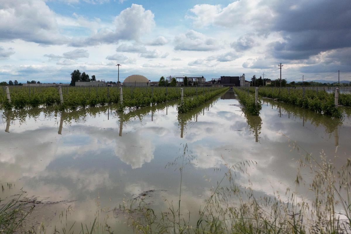 Al menos 14 muertos y 20.000 evacuados tras las inundaciones en Emilia Romaña (Italia)