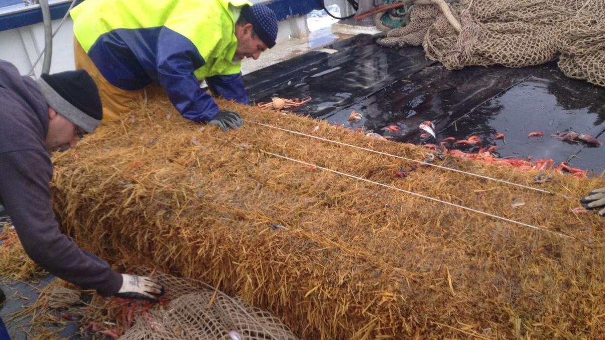 Dos pescadores, poco después de capturar una bala de paja de grandes dimensiones en alta mar.