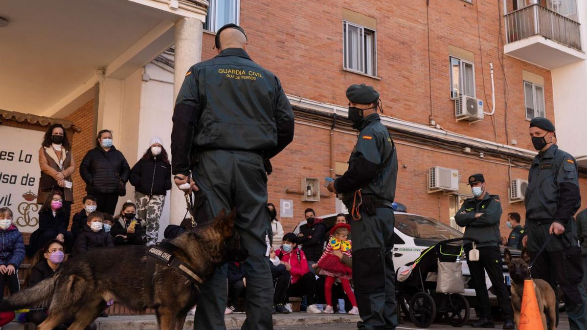 Los agentes de la Guardia Civil de Zamora, durante la exhibición con los perros.