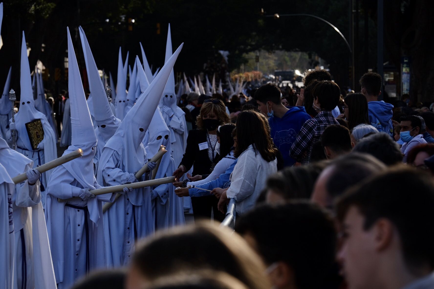 Salutación | Domingo de Ramos 2022