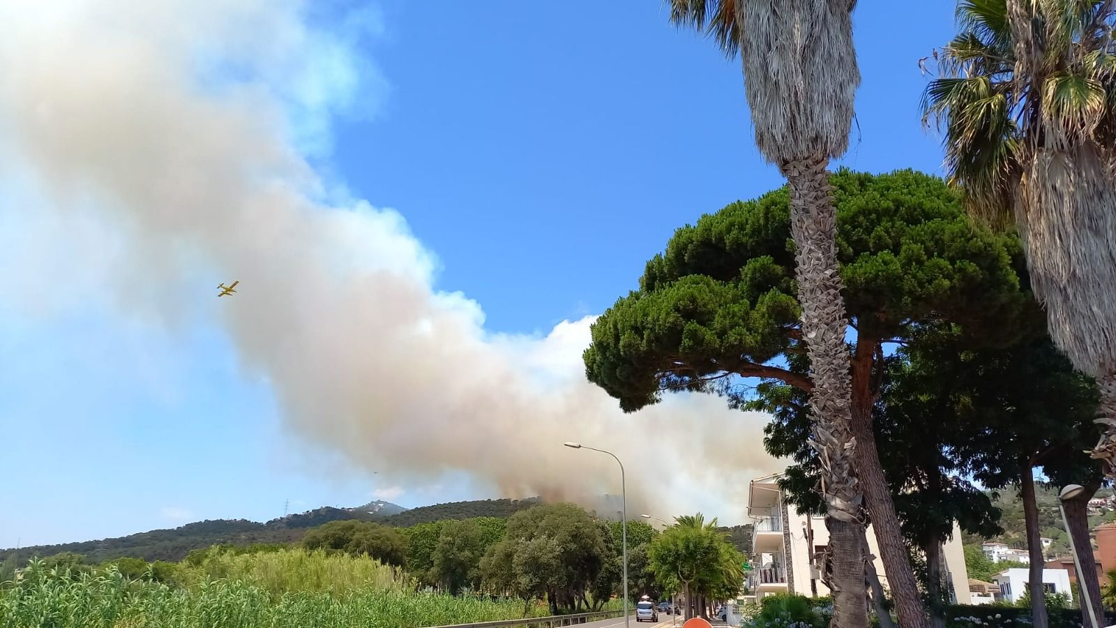 Incendi forestal a Castell d'Aro