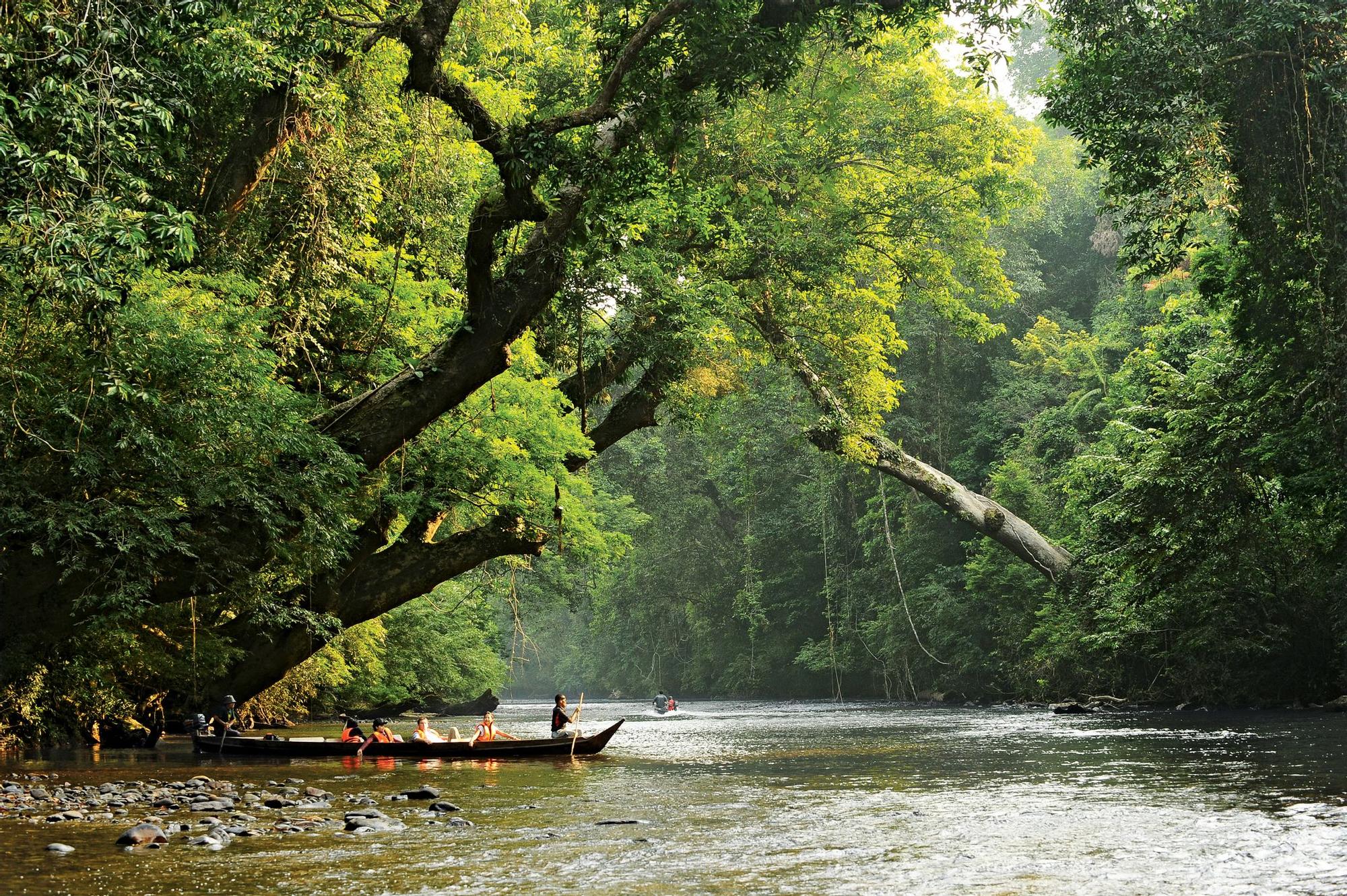 Uno de los maravillosos lugares del Parque Nacional Taman Negara