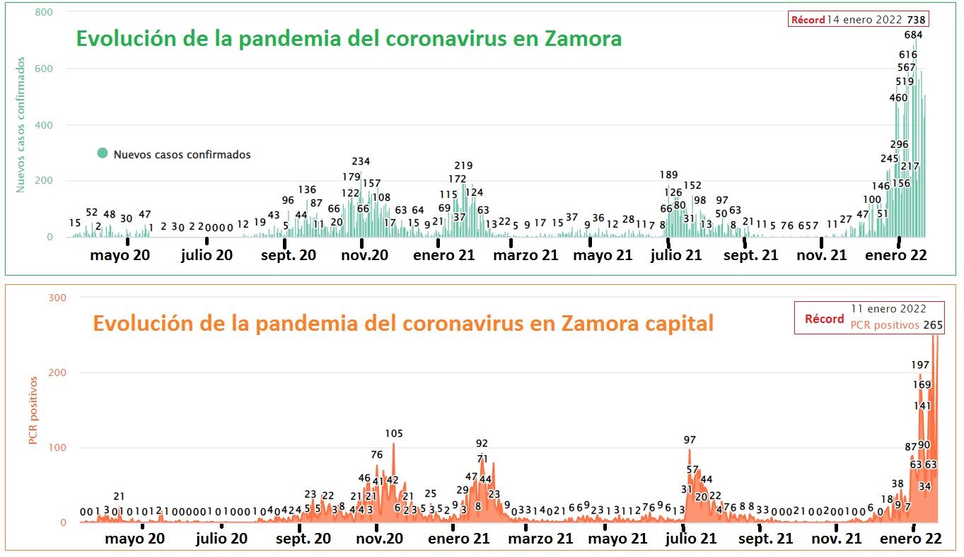 Evolución de la pandemia, según los casos diarios, en Zamora provincia y capital