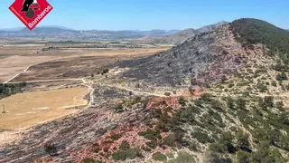 El incendio forestal de Villena calcina 56 hectáreas pero evoluciona favorablemente