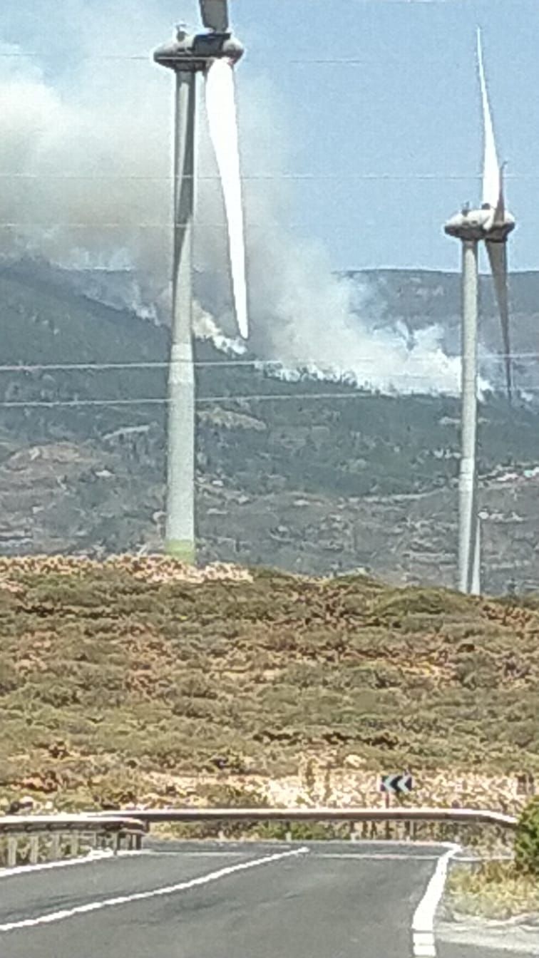 Incendio forestal en Tenerife (20/05/21)