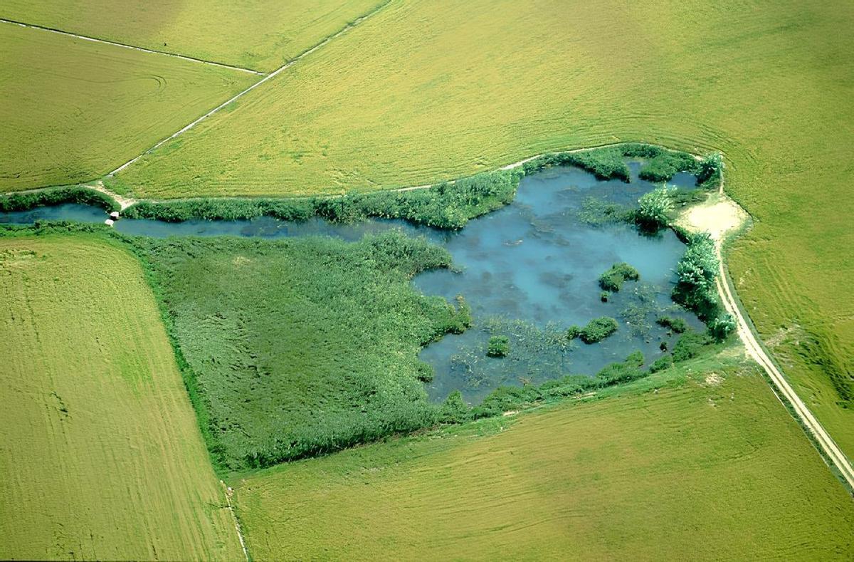 Panorámica aérea del Ullal de Baldoví, que está en el término de Sueca junto a la Muntanyeta dels Sants de la Pedra.