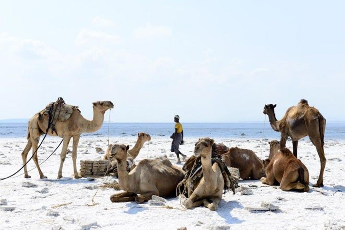 el lago Asale, en el desierto de Danakil