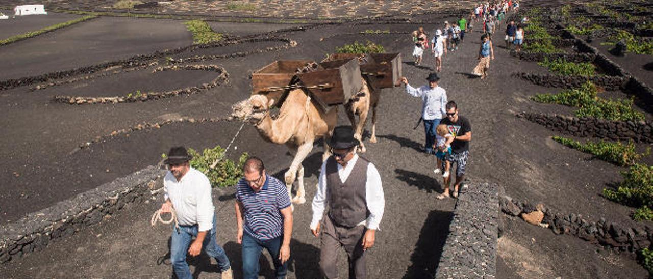 Un grupo de turistas visita La Geria.