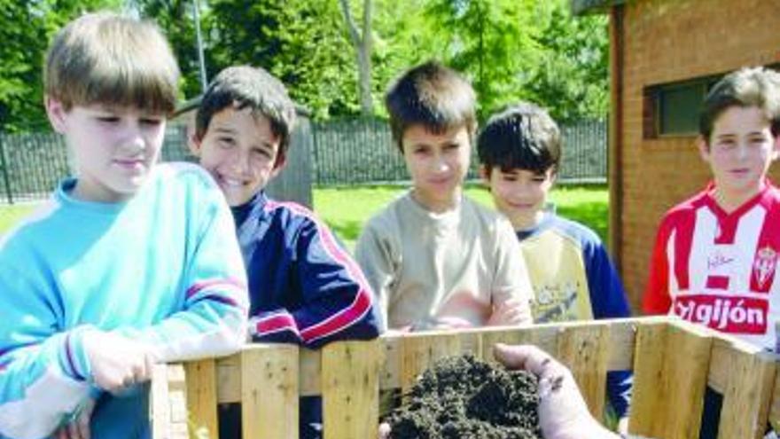 Los alumnos del Enrique Alonso aprenden a reciclar