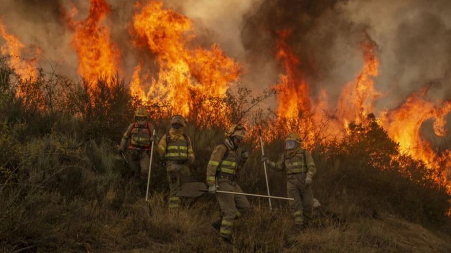 Ourense registra la mitad de los detenidos e investigados por incendios en Galicia