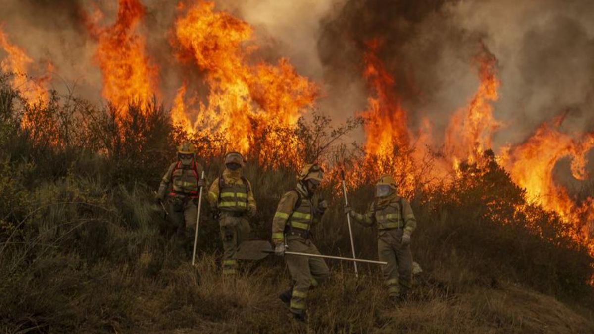 Brigadistas, en un incendio en agosto de 2021 en Rubiá.   | // BRAIS LORENZO