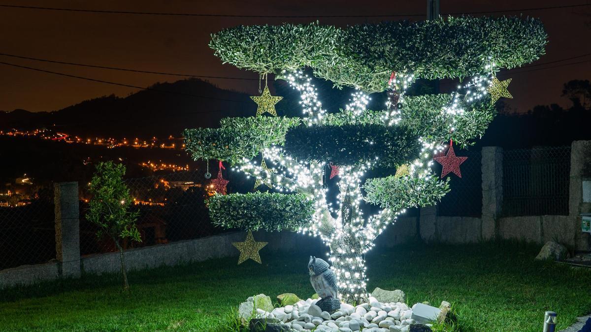 El olivo del jardín de la casa de Mañufe con 6.000 luces led.