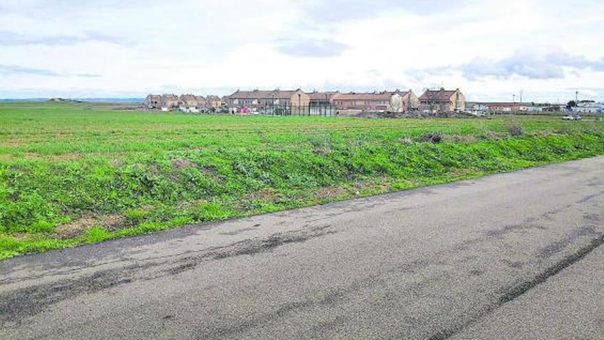 Zona del Cerro de la Plata de Roales del Pan, donde se proyectaba una urbanización. | A. R.