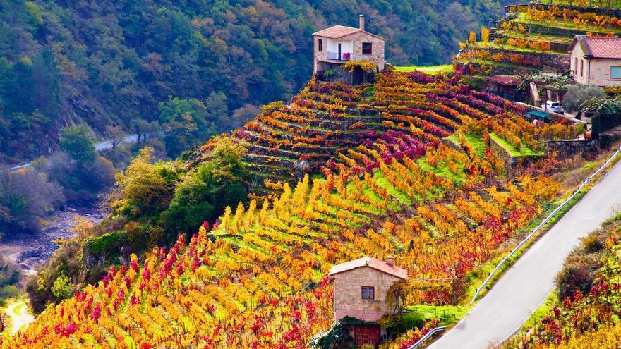 El plato más infravalorado de Galicia tiene una historia humilde y es un sello de identidad