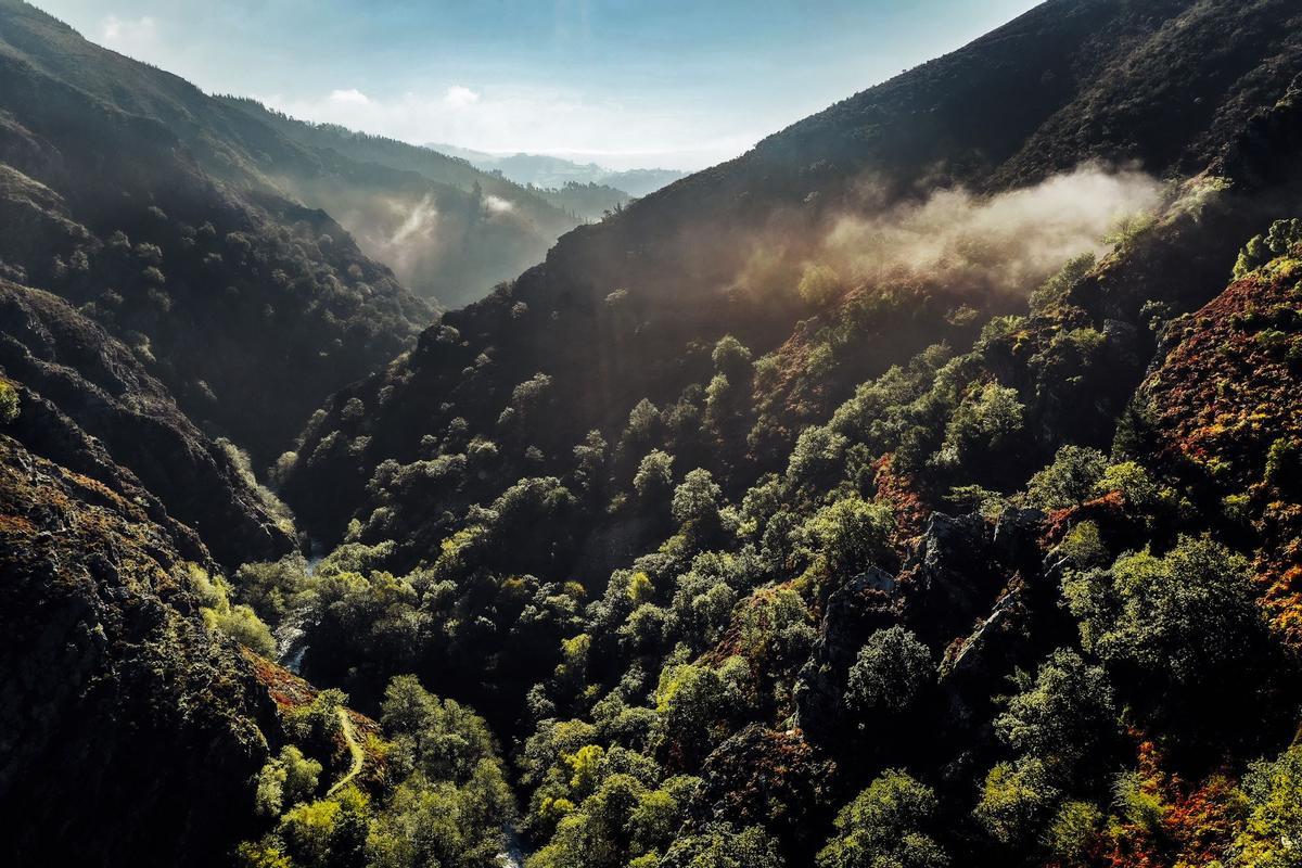 Los imponentes bosques de la Selva del Esva atravesada por las ruta de las Hoces del Esva